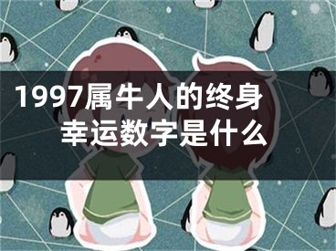 1997属牛人的终身幸运数字是什么