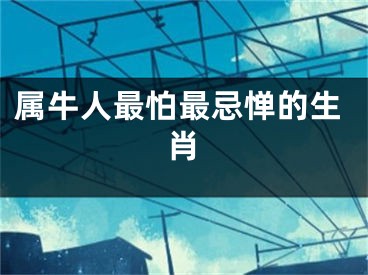 属牛人最怕最忌惮的生肖