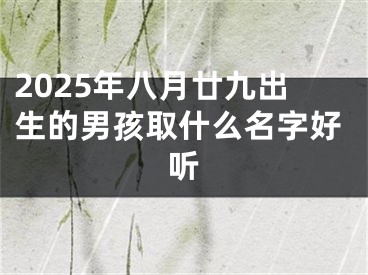 2025年八月廿九出生的男孩取什么名字好听
