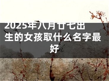 2025年八月廿七出生的女孩取什么名字最好