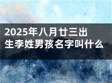 2025年八月廿三出生李姓男孩名字叫什么