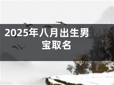 2025年八月出生男宝取名