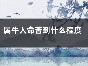 属牛人命苦到什么程度