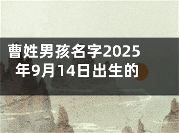 曹姓男孩名字2025年9月14日出生的