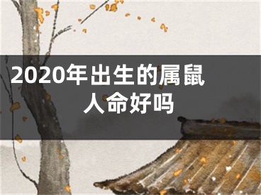 2020年出生的属鼠人命好吗