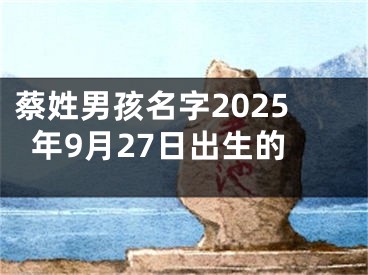 蔡姓男孩名字2025年9月27日出生的