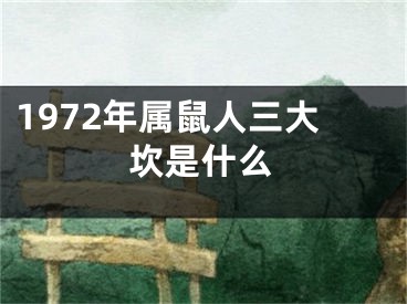 1972年属鼠人三大坎是什么