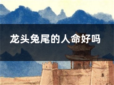龙头兔尾的人命好吗