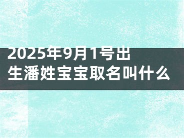 2025年9月1号出生潘姓宝宝取名叫什么
