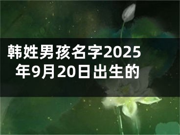 韩姓男孩名字2025年9月20日出生的