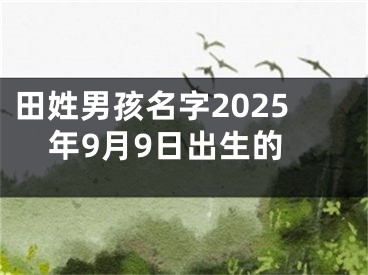 田姓男孩名字2025年9月9日出生的