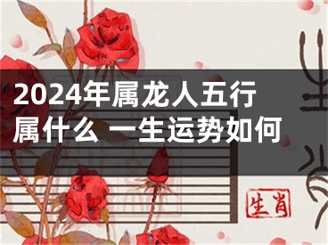 2024年属龙人五行属什么 一生运势如何
