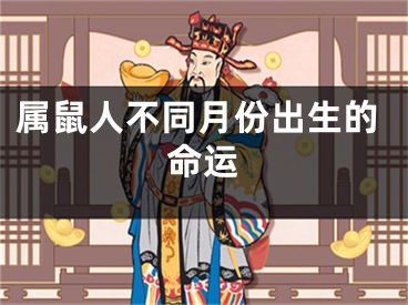 属鼠人不同月份出生的命运