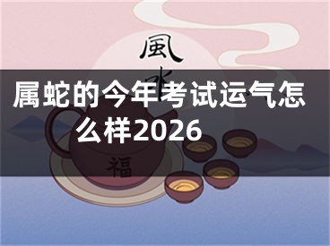 属蛇的今年考试运气怎么样2026