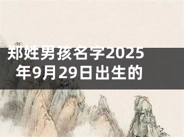 郑姓男孩名字2025年9月29日出生的