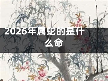 2026年属蛇的是什么命