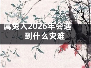 属兔人2026年会遇到什么灾难
