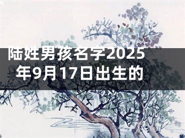 陆姓男孩名字2025年9月17日出生的