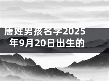 唐姓男孩名字2025年9月20日出生的