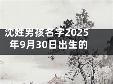 沈姓男孩名字2025年9月30日出生的