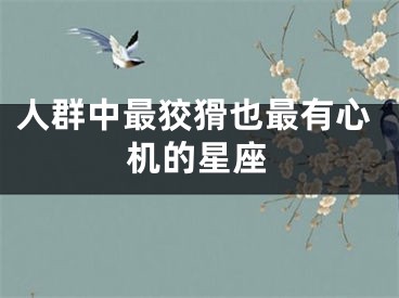 人群中最狡猾也最有心机的星座