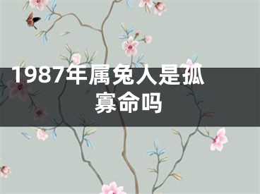 1987年属兔人是孤寡命吗