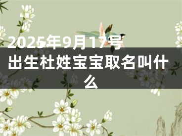 2025年9月17号出生杜姓宝宝取名叫什么