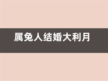 属兔人结婚大利月