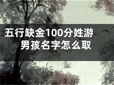 五行缺金100分姓游男孩名字怎么取