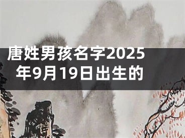 唐姓男孩名字2025年9月19日出生的