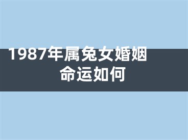 1987年属兔女婚姻命运如何