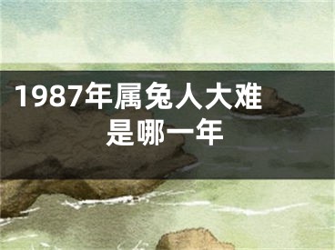 1987年属兔人大难是哪一年