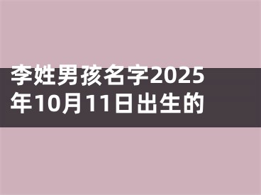 李姓男孩名字2025年10月11日出生的