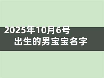 2025年10月6号出生的男宝宝名字