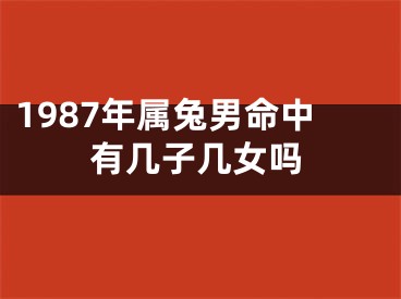 1987年属兔男命中有几子几女吗