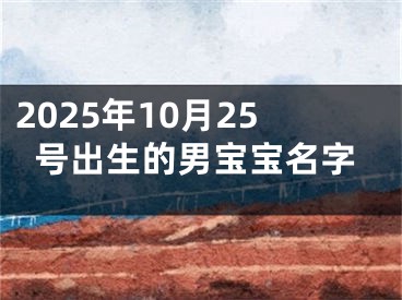 2025年10月25号出生的男宝宝名字