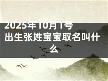 2025年10月1号出生张姓宝宝取名叫什么