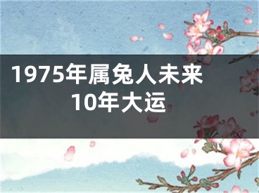 1975年属兔人未来10年大运
