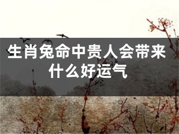 生肖兔命中贵人会带来什么好运气