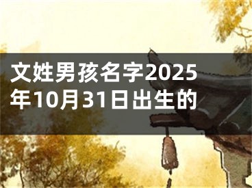文姓男孩名字2025年10月31日出生的