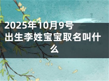 2025年10月9号出生李姓宝宝取名叫什么