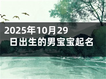 2025年10月29日出生的男宝宝起名
