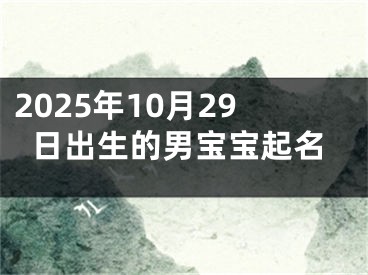 2025年10月29日出生的男宝宝起名