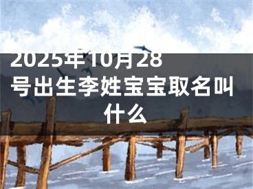 2025年10月28号出生李姓宝宝取名叫什么