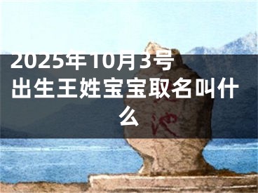 2025年10月3号出生王姓宝宝取名叫什么
