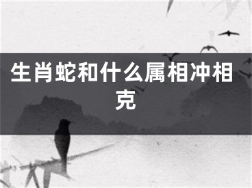 生肖蛇和什么属相冲相克