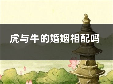虎与牛的婚姻相配吗