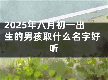 2025年八月初一出生的男孩取什么名字好听