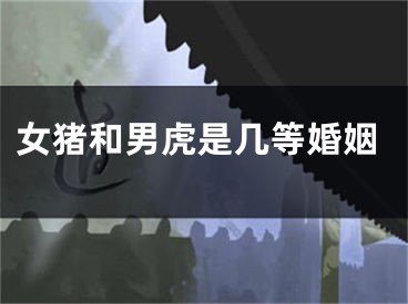 女猪和男虎是几等婚姻