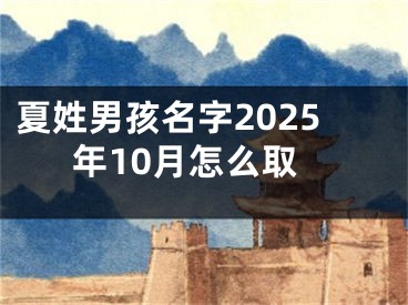 夏姓男孩名字2025年10月怎么取